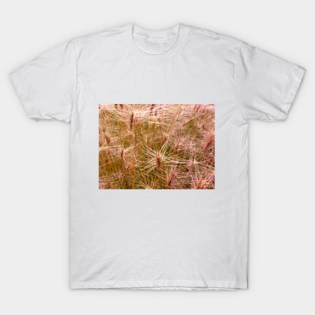 Wild wheat at the Worlds End. T-Shirt by stevepaint